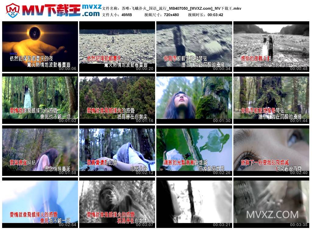 苏唯-飞蛾扑火_国语_流行_MB407050